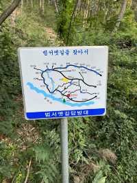 울산 일몰명소로 유명한 선바위 인생사진 남기고 왔어요