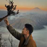 Mount Bromo, A Spectacular Indonesia Mountain