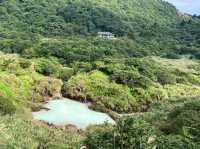 陽明山～牛奶湖-冷水坑-擎天崗