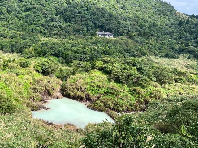 陽明山～牛奶湖-冷水坑-擎天崗