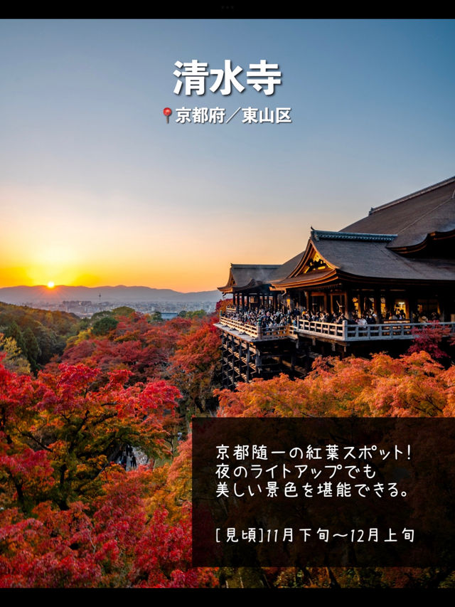 【京都】日本屈指の紅葉スポット！絶景7選