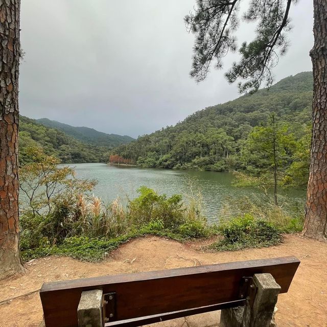 春日郊遊流水響❤️超令紅葉🍁😗情侶💑郊遊必去