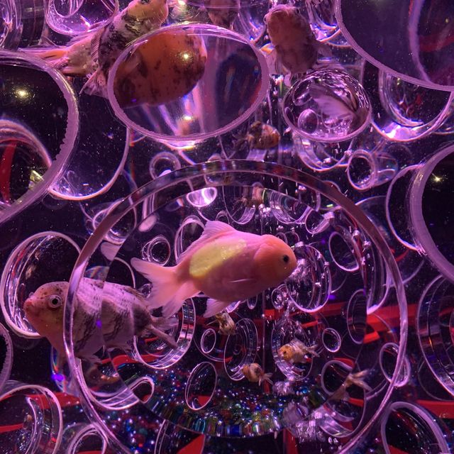 【銀座】アートアクアリウム