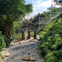 Amazing View At Hayaku