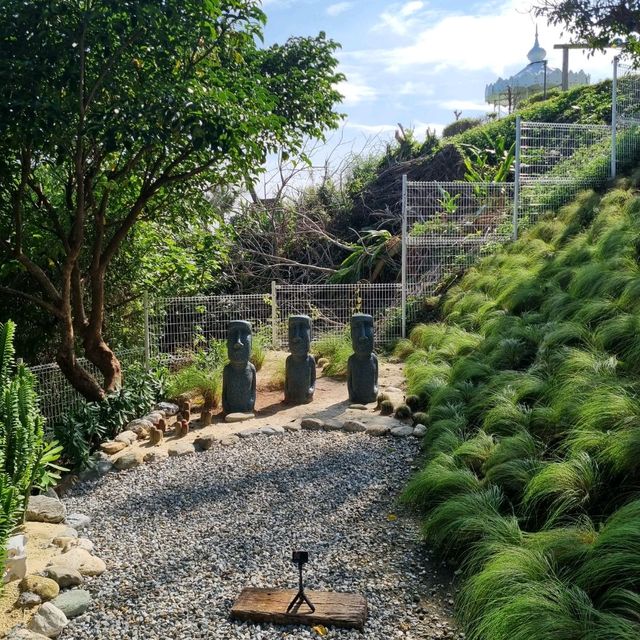 Amazing View At Hayaku
