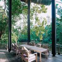 คาเฟ่ลับใน ม.มหิดล ศาลายา