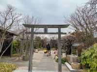 博多駅に一番近い神社⛩