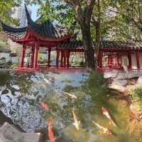 ✨八角亭台~紅色柱子~蘇州視覺感龍園✨