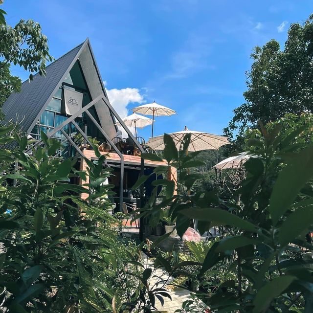PYNMOUNT ร้านคาเฟ่สวยในป่าเขา