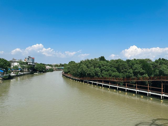 เที่ยวป่าชายเลน เรียนรู้ธรรมชาติ ที่จังหวัดระยอง