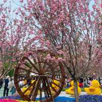 Flower Show 2023 at Victoria Park Hongkong