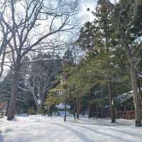 눈이 가득한 삿포로의 마루야마 공원 円山公園 일본여행