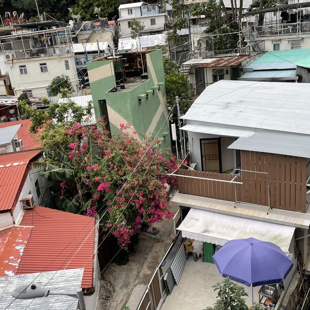自家農田，香港僅餘的臨時房屋區