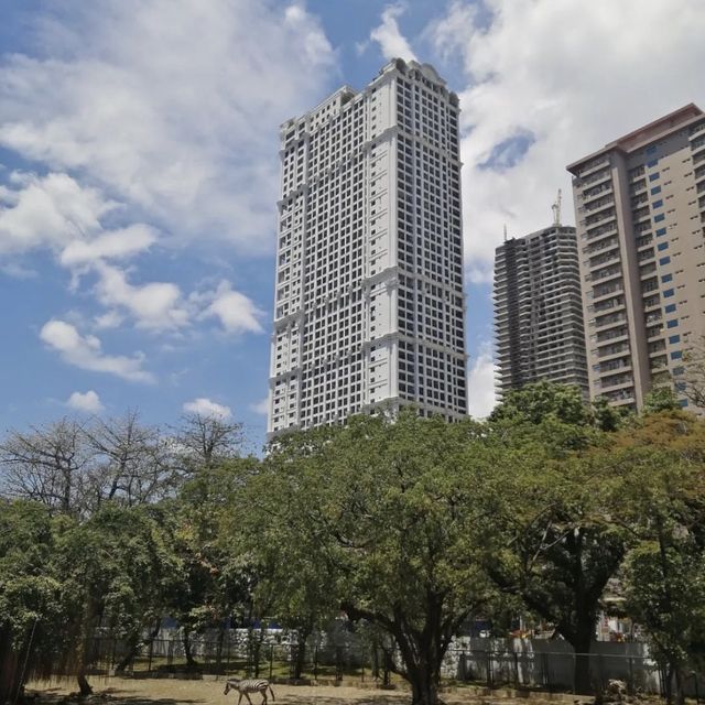Rediscover the New Improved Manila Zoo