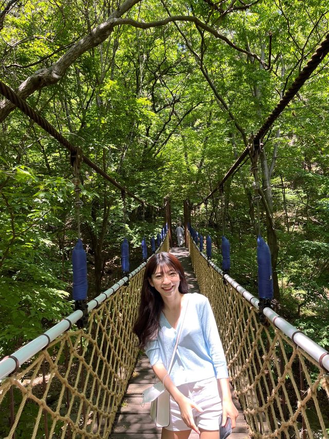 산책하러 가기 좋은 서울 근교 용문사⛰️💚