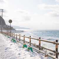 知床の流氷を見ないこう