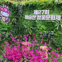 진달래와 철쭉이 가득한 봄소식과 함께 찾아온 비슬산 참꽃문화제