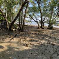 Hidden Gem in Pulau Mawar