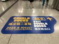 坐港鐵遊香港 | 港鐵站尋鴨之旅(上) 