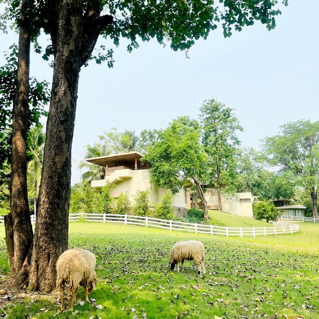 The Scenery vintage Farm ที่พักดี กิจกรรมเพียบ