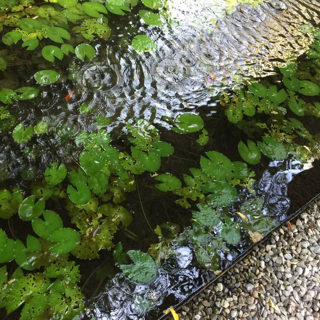 台中 大里 菩薩寺 修行在生活之中