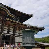 日本必到✍️奈良東大寺