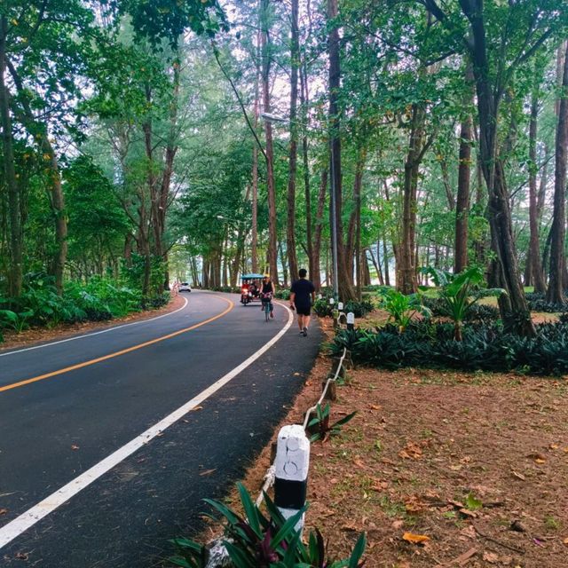 Naiyang Beach 🏖️ Phuket 