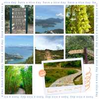 🏞️👣 元荃古道～征服山徑🏞️👣🌳