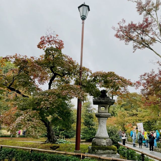 【京都府】足利義満が描いた極楽浄土の世界。秋の鹿苑寺へ