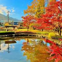 曽木公園