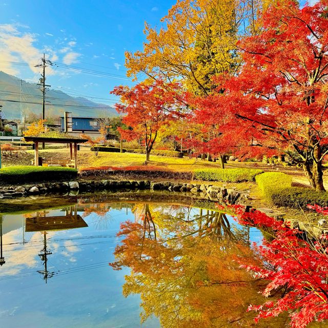 曽木公園