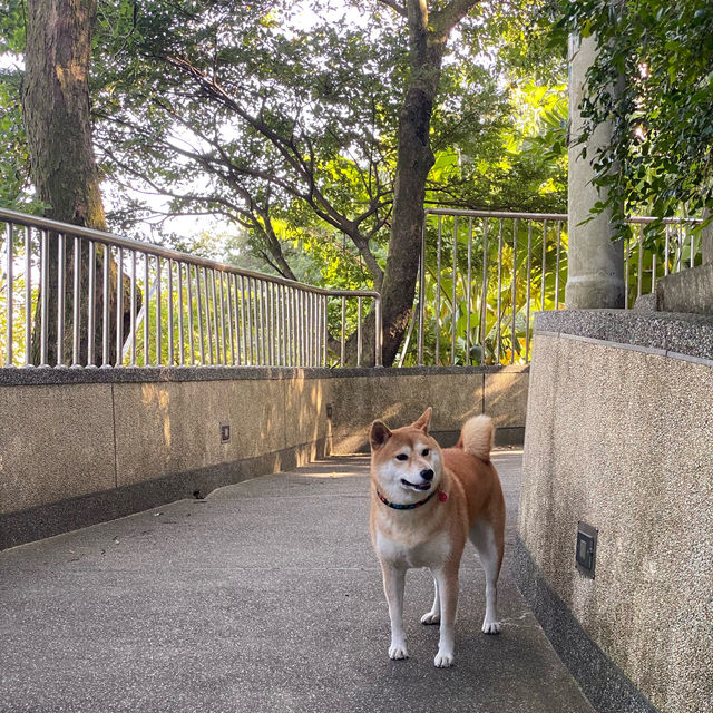 烘爐地登山步道⛰️