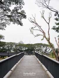 พามาเดินเล่นที่สวนเบญจกิติ สวนป่าใจกลางกรุง🌳🌱