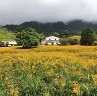 一生必來一次的限定花景