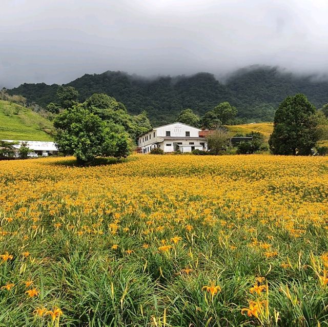 一生必來一次的限定花景