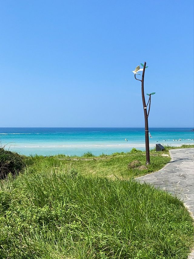 제주에서 가장 해외 같은 곳! ‘함덕해수욕장’ 을 소개합니다~!!!🌊💙