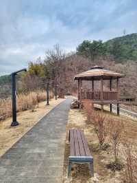 겨울에도 여전히 분위기 있는 용소웰빙공원🌳