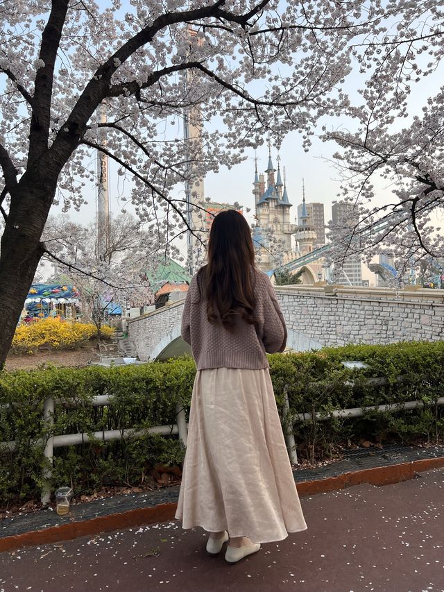 韓国/ソウル【蚕室】桜が咲くお花見シーズンのおすすめスポット🌸