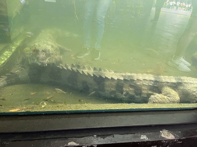 體力挑戰遊台北動物園