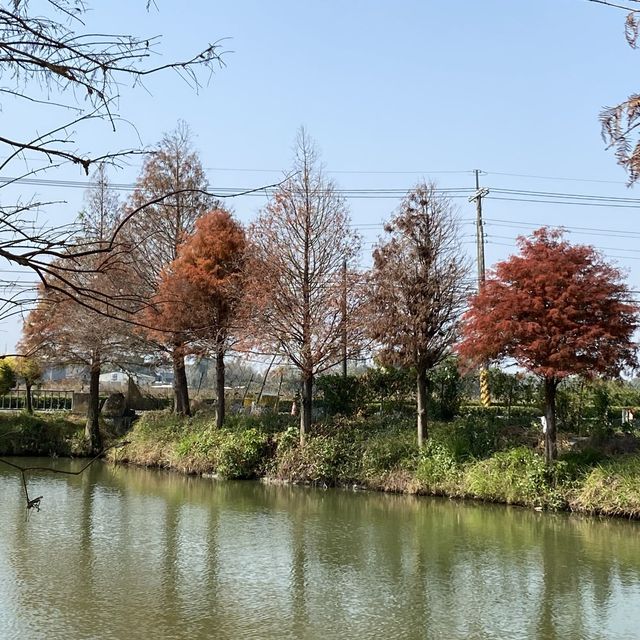 嘉義二日遊必去/好吃的嘉義美食/連假出遊去哪裡/帶你看日式建築/文化路夜市 /文青旅遊