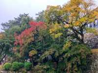ปราสาทโอคะซะกิ (Okazaki Castle)🏯