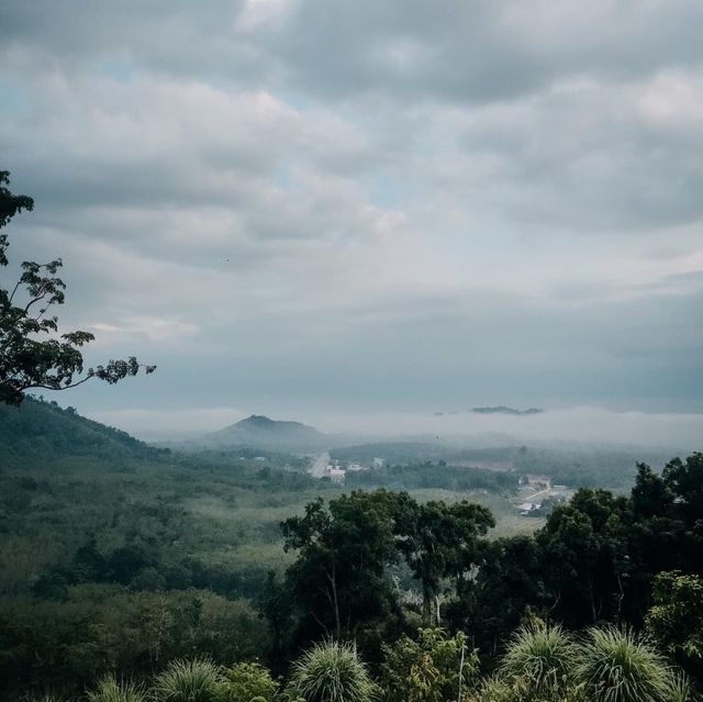 จุดชมวิวทะเลหมอก ธารทอง| KOTABARU🌿🍃