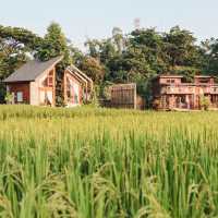บ้านนาก๋างโต้ง Baan Na Kang Tong 🌾 จ. น่าน