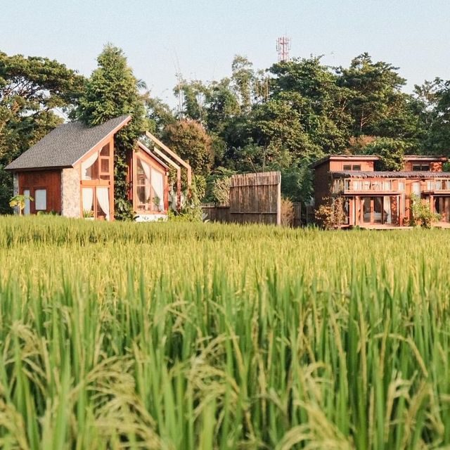 บ้านนาก๋างโต้ง Baan Na Kang Tong 🌾 จ. น่าน