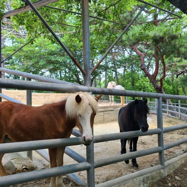 진주 진양호 동물원