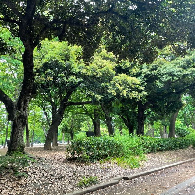 国立西洋美術館