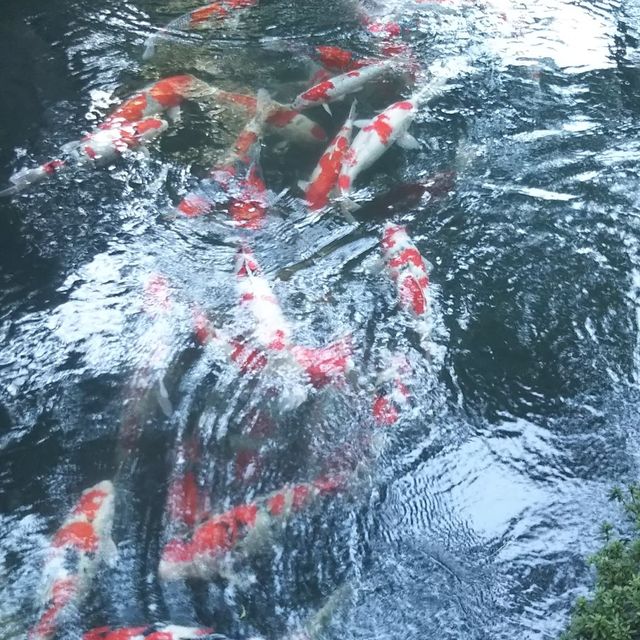 八芳園