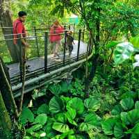 A wonderful day in Taman Tasik Titiwangsa