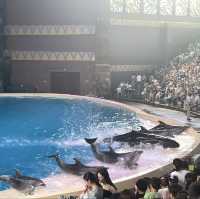 🌊🐠 海底奇幻之旅：珠海長隆海洋王國的無限樂趣 🐬
