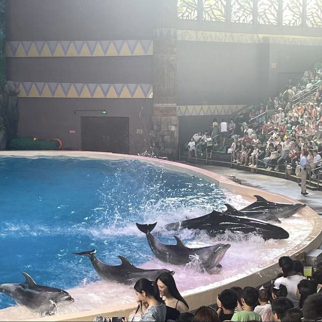 🌊🐠 海底奇幻之旅：珠海長隆海洋王國的無限樂趣 🐬